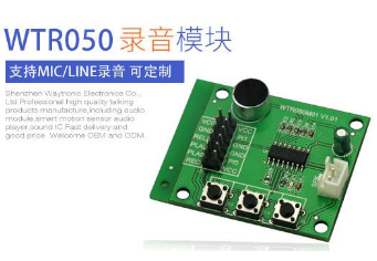 音樂(lè)IC可以使用哪些音樂(lè)格式？